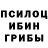 Псилоцибиновые грибы Psilocybe Ivan Fedulov