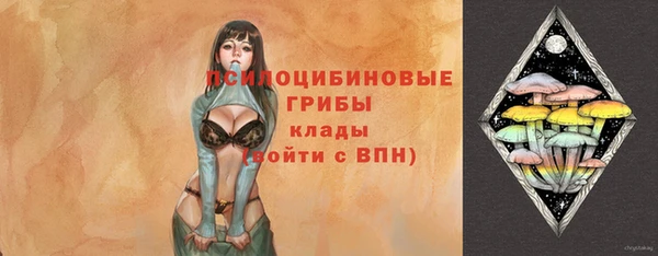 МДПВ Белокуриха