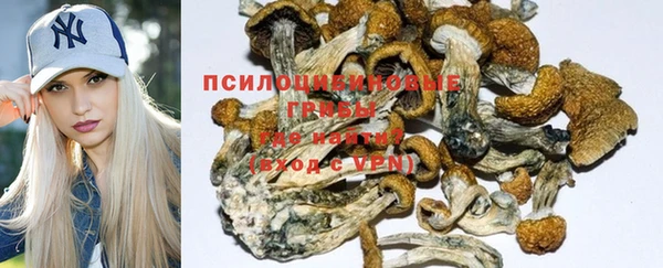 гашик Беломорск
