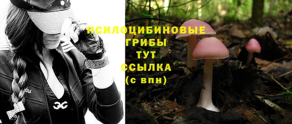 МДПВ Белокуриха
