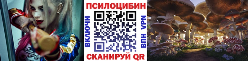 Галлюциногенные грибы мицелий  дарнет шоп  дарк нет официальный сайт  Волосово 